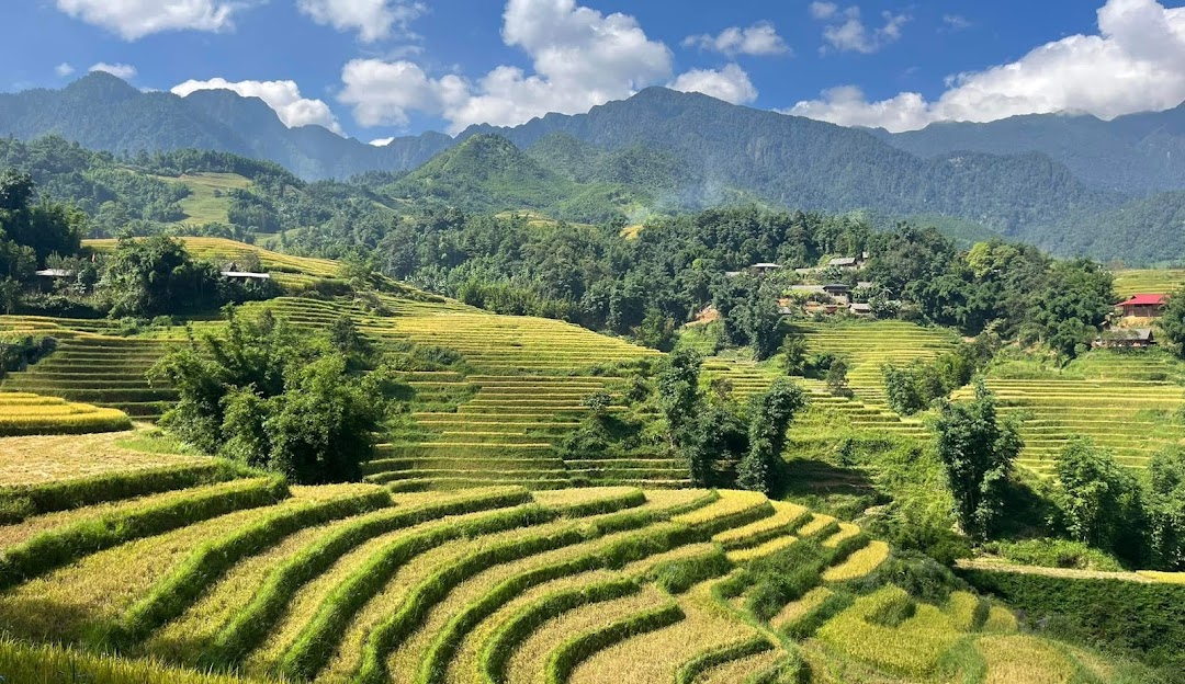 Half-Day Sapa Cultural Tour